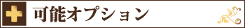 可能オプション｜宮崎風俗イメクラヘルス　宮崎 風俗 CLINE